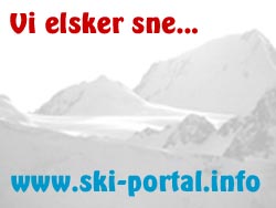   Vi elsker sne... MEN Undg ski skader - kom i form inden ferien...